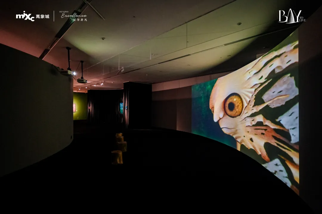 Immersive projection installation