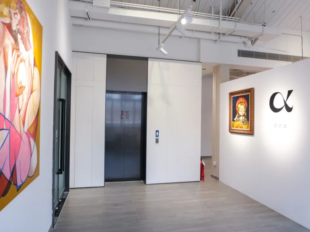 Installation view