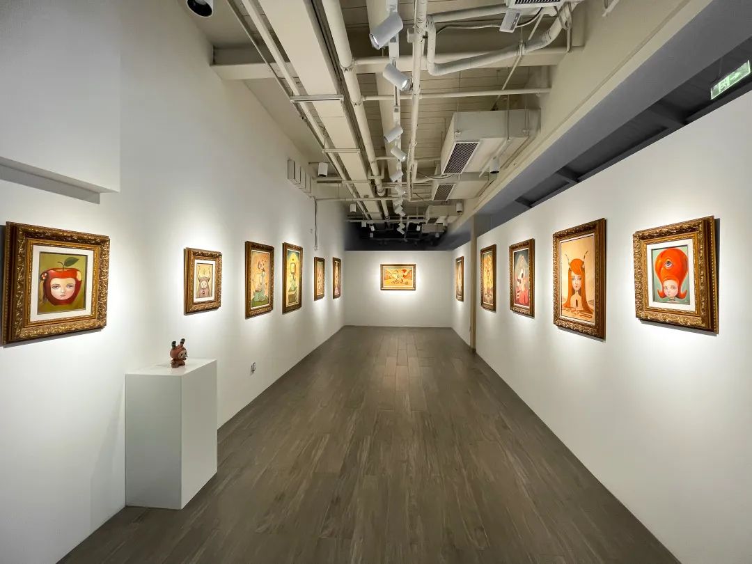 Installation view