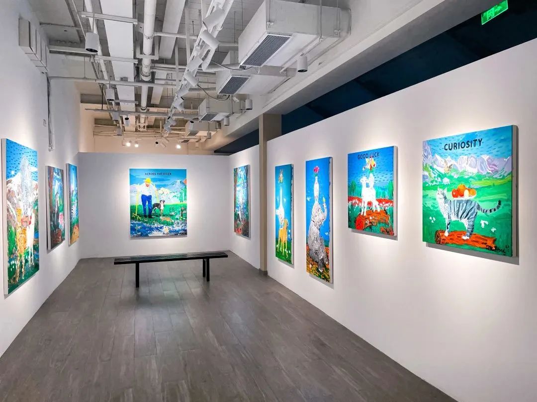 Installation view
