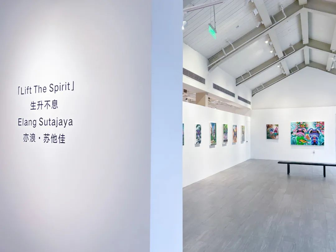 Exhibition View 5