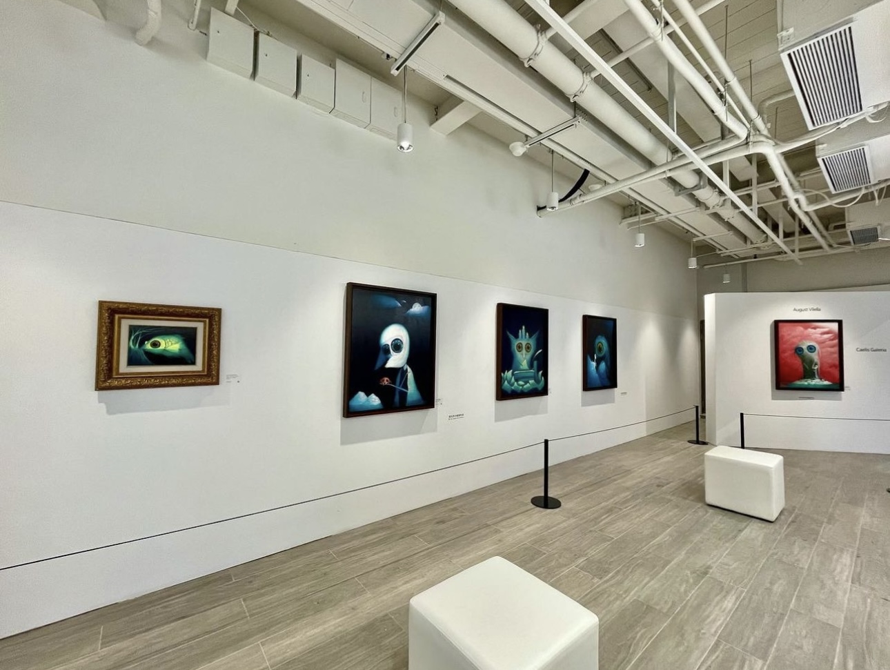 Installation view