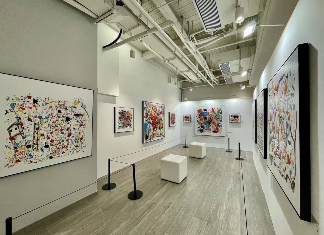 Installation view